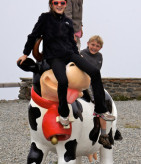 family travel growth on web