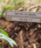 tree-planting-sanctuary-olonana-kenya