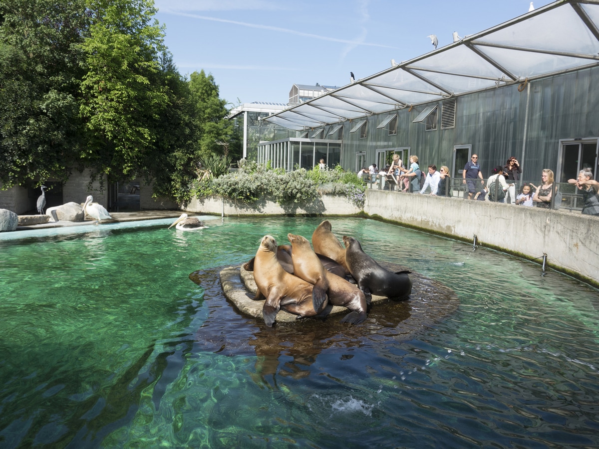 Things to do in Amsterdam with Kids