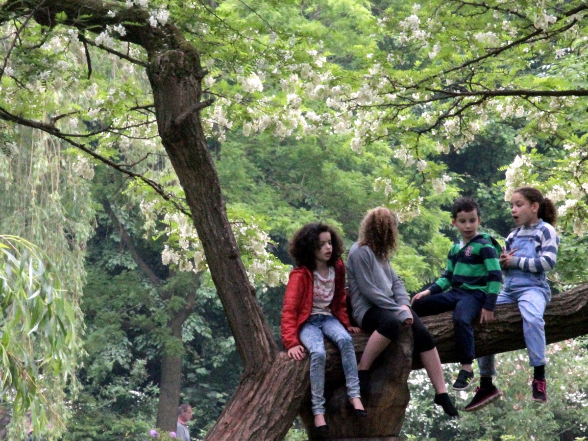 Things to Do in Amsterdam with Kids