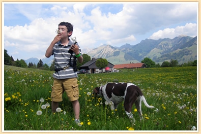 boy smelling narcissus flower swiss mountains