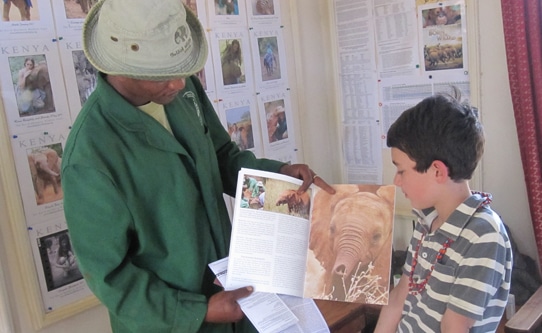 The David Sheldrick Wildlife Trust Kenya Africa
