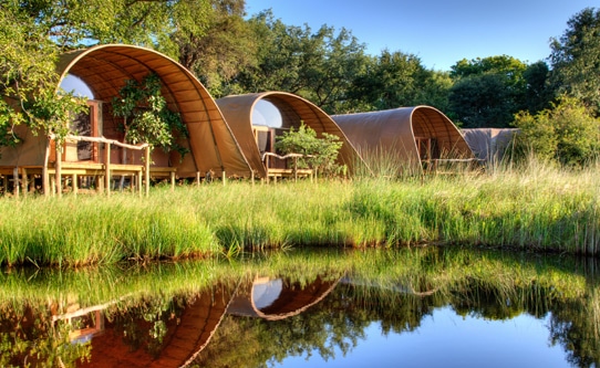 Camp Okuti Tents Botswana