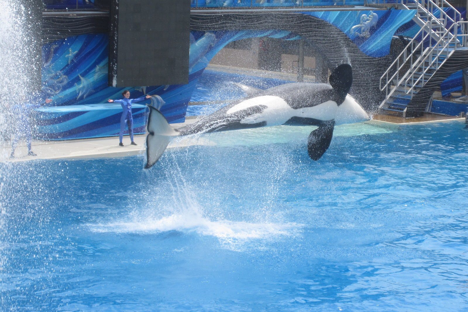 Kids Summer Camp SeaWorld Career Camp Best San Diego Activities