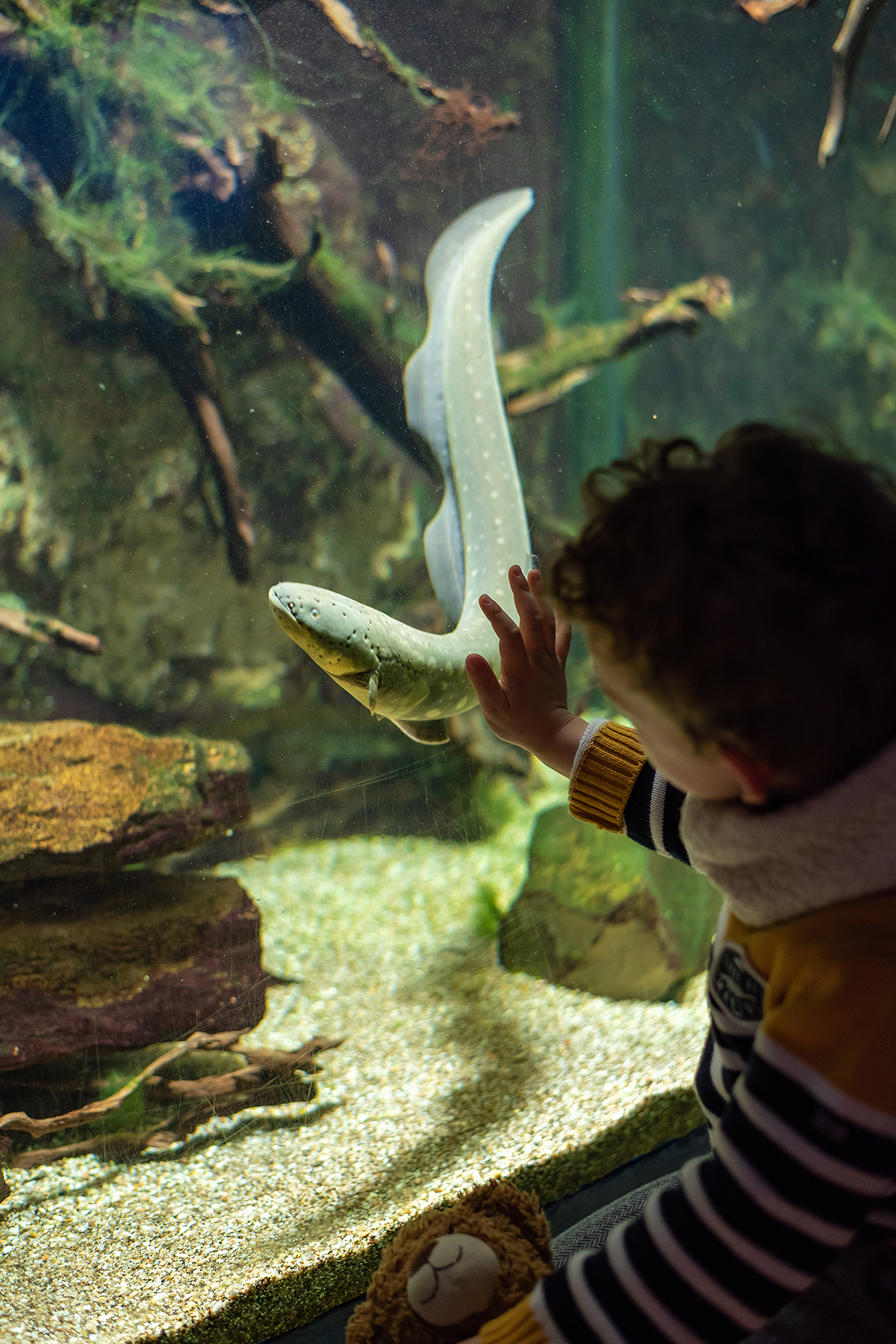 Aquarium Paris in France- credit AdobeStock