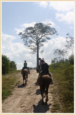 Kids Horseback Riding Belize