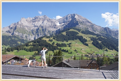 Mountain Views from The Cambrian Hotel Adelboden