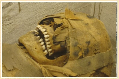 San Jose Museum Mummy