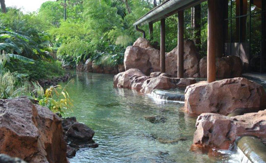 Disney's Animal Kingdom Lodge Florida