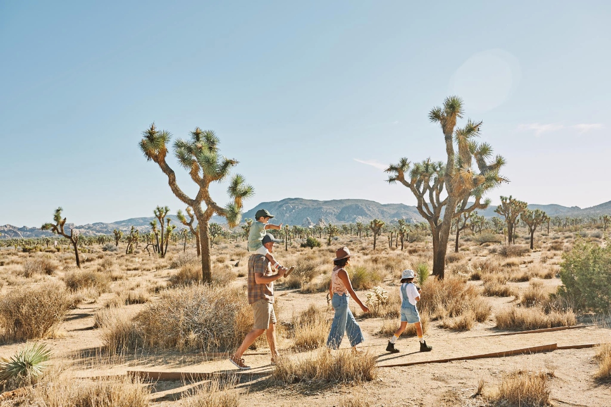 Fun Things to Do in Palm Springs with Kids