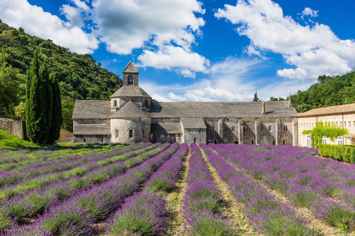 Things to Do in Provence