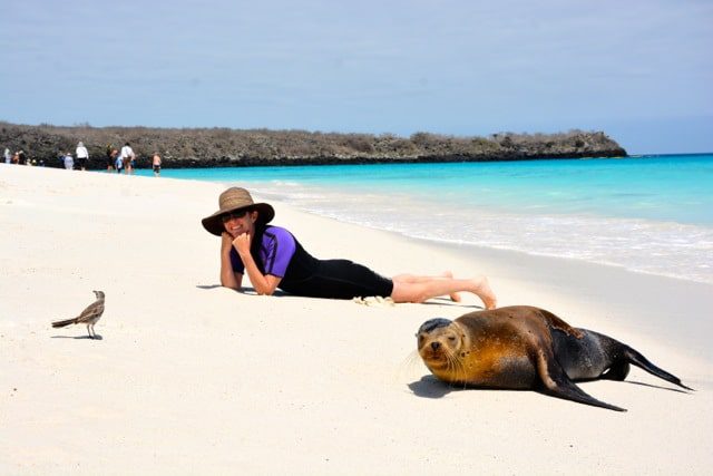 galapagos-beach-with-sea-lion