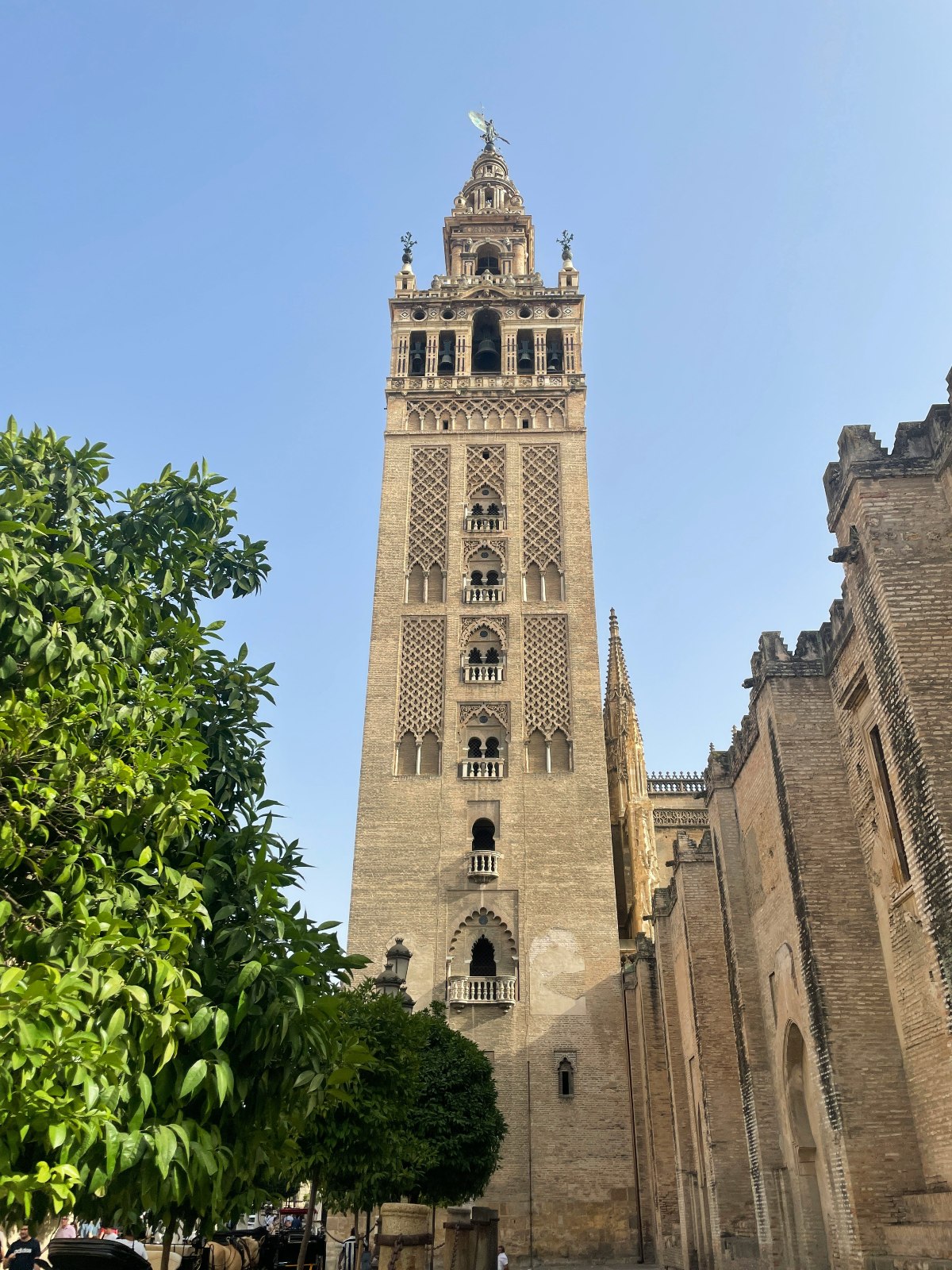 The Giralda tower rises the full height of the frame against a clear blue sky, its pale brick shaft covered in tiered Moorish geometric lattice ornamentation, small balconies, and arched windows, topped by an ornate Renaissance belfry with bells and a bronze weather vane figure at the pinnacle. A green orange tree is visible on the left, and the buttressed brick exterior of Seville Cathedral extends along the right edge of the frame.