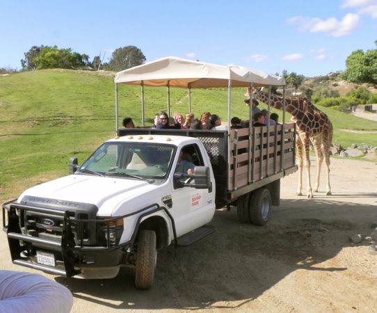 San Diego Safari Park Caravan Tour Truck