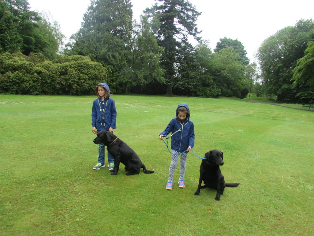 Spending time with the fab dogs at the Gleneagles' Gundog school