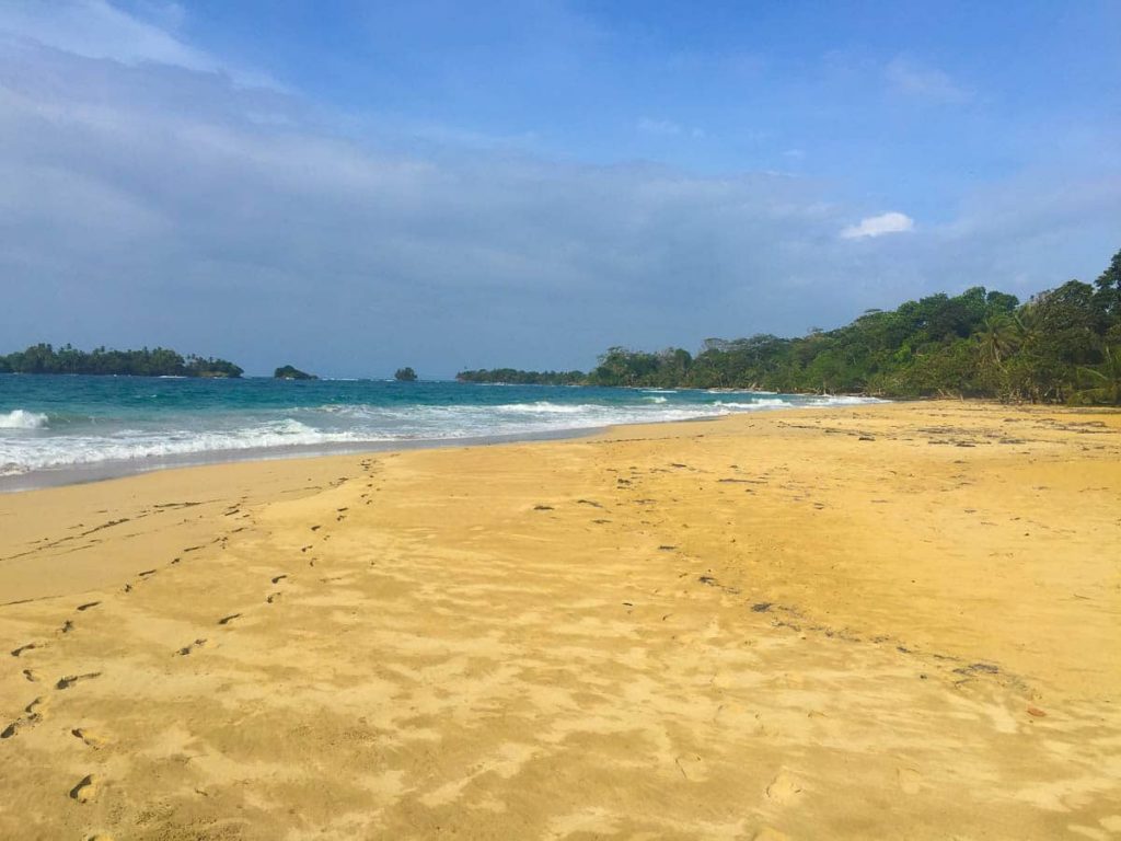ed-frog-beach-resort-beach