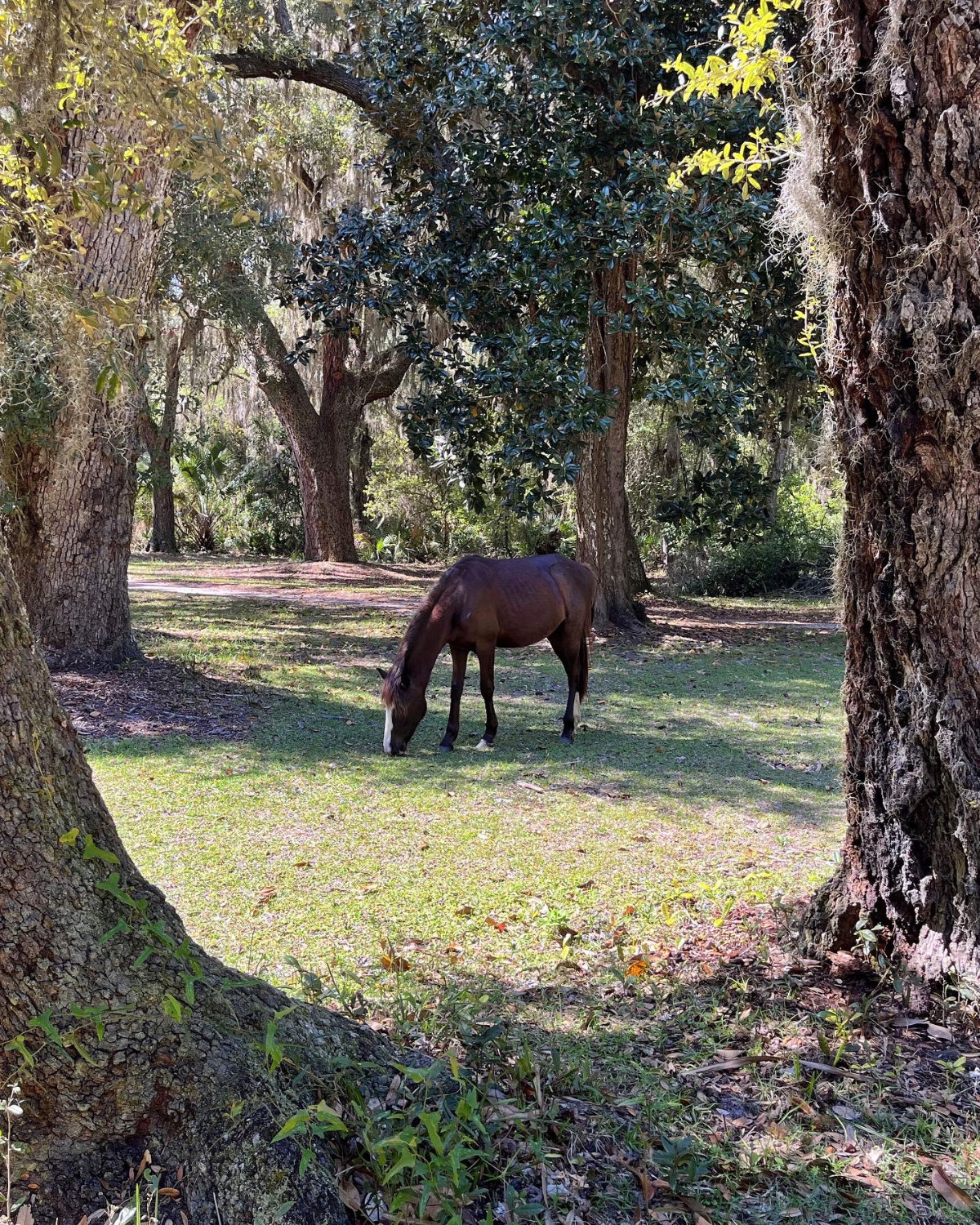 Best Family Spring Break Ideas in the Southeast