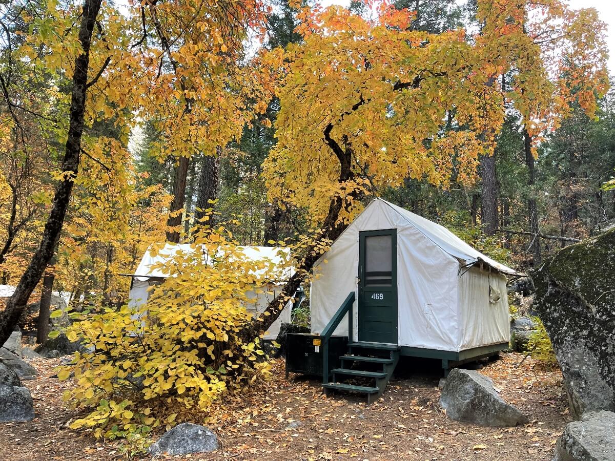 A white canvas tent cabin numbered 469 sits on a raised wooden platform with dark green trim and steps, surrounded by deciduous trees displaying golden yellow and orange autumn foliage. Large granite boulders rest on the leaf-covered ground near the tent, with evergreen conifers and additional tent cabins visible among the mixed forest setting.