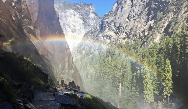 Yosemite with Kids: A Complete Family Travel Guide
