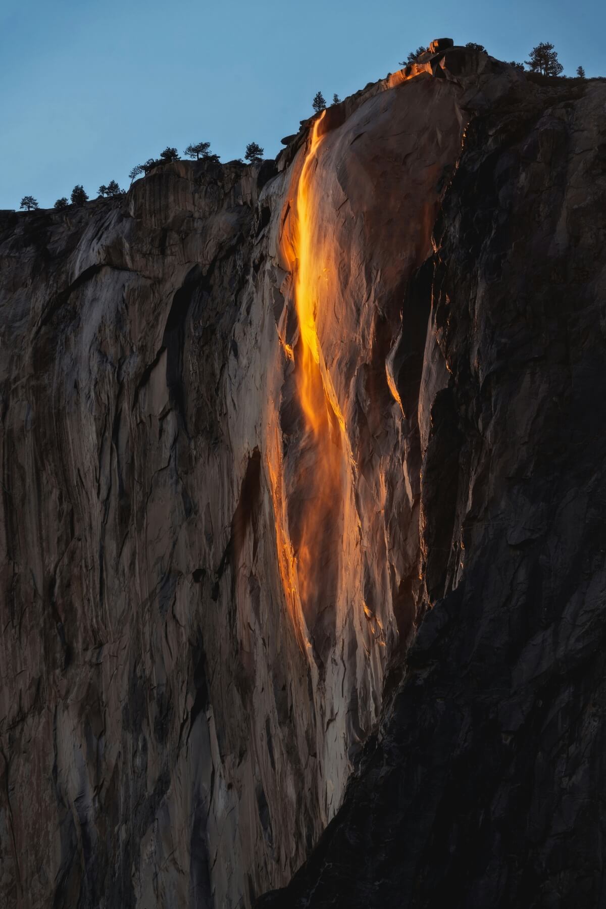 Horsetail Fall cascades down El Capitan's granite cliff face in Yosemite, illuminated by sunset light that makes the water appear bright orange and gold against the shadowed rock. The narrow waterfall flows from the cliff's edge where scattered evergreen trees are silhouetted against a blue twilight sky.