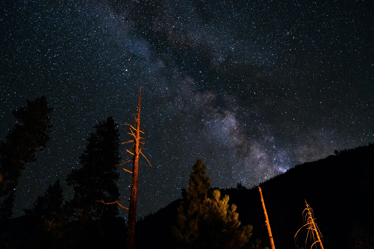 The Milky Way galaxy stretches across a dark night sky filled with thousands of visible stars, displaying bands of purple, blue, and gray interstellar dust and light. Silhouetted conifer trees line the bottom of the frame against a mountain ridge, with several dead standing trees illuminated by warm orange light in the foreground.