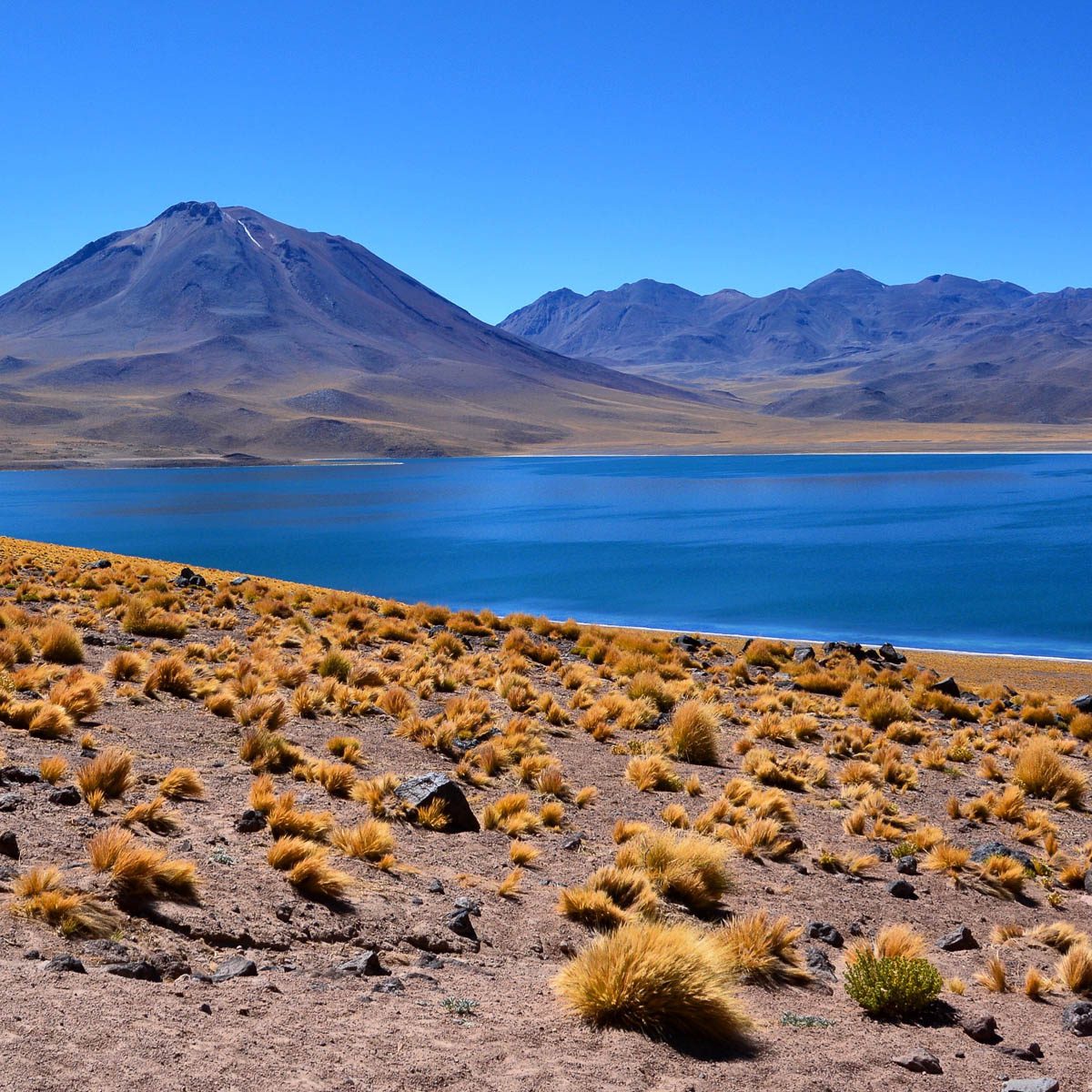 What Is The Atacama Desert In Chile