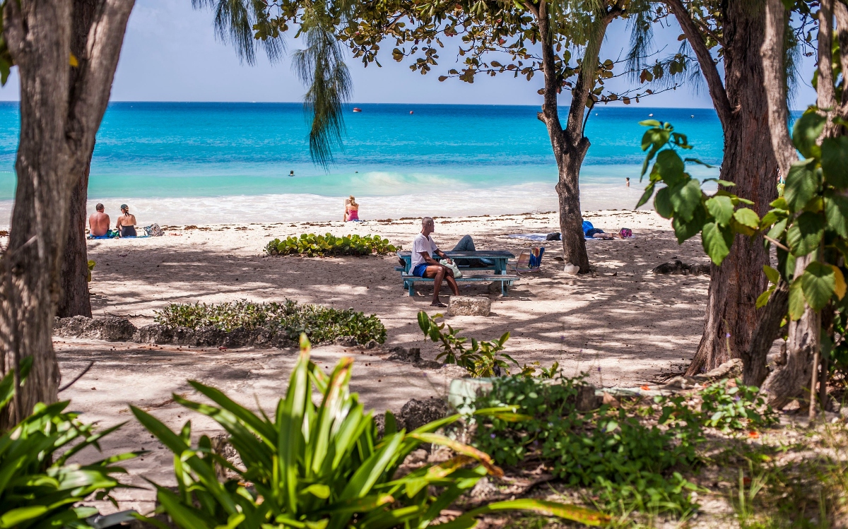 A white sand beach with turquoise water is framed by coastal trees and tropical vegetation, with several people relaxing on the sand and in the shallow water. In the shaded foreground, a person sits on a blue bench beneath the trees, while more beachgoers are visible on the sunny beach beyond.