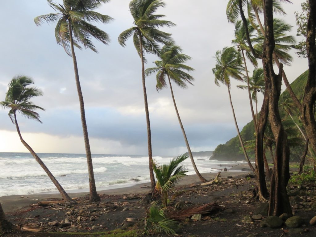 Things to Do in Dominica with Kids