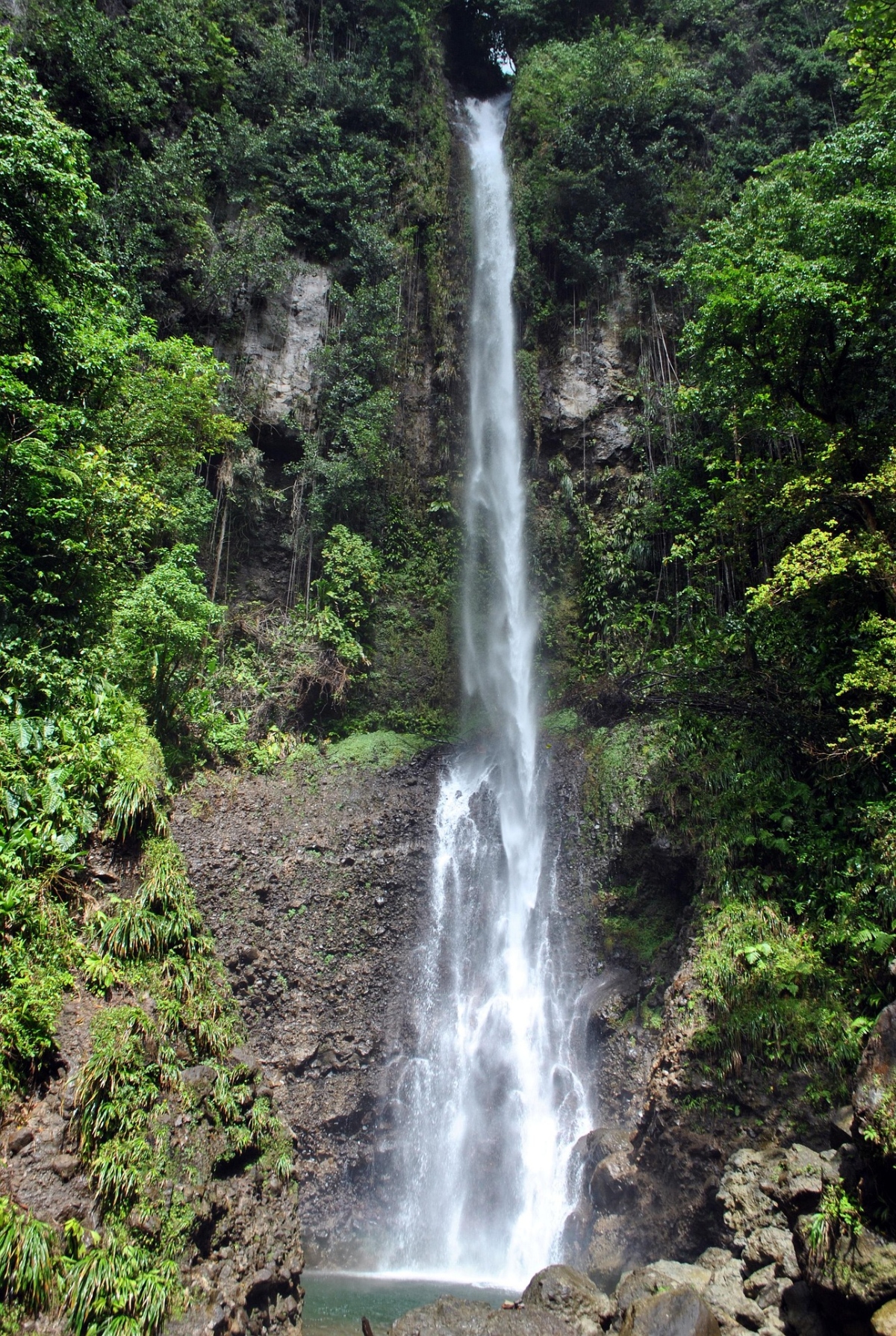 A tall, narrow waterfall cascades down a steep rocky cliff face surrounded by dense tropical rainforest vegetation with vibrant green foliage. The white stream of water falls into a small pool at the base, where large rocks and boulders are scattered among the lush forest floor.
