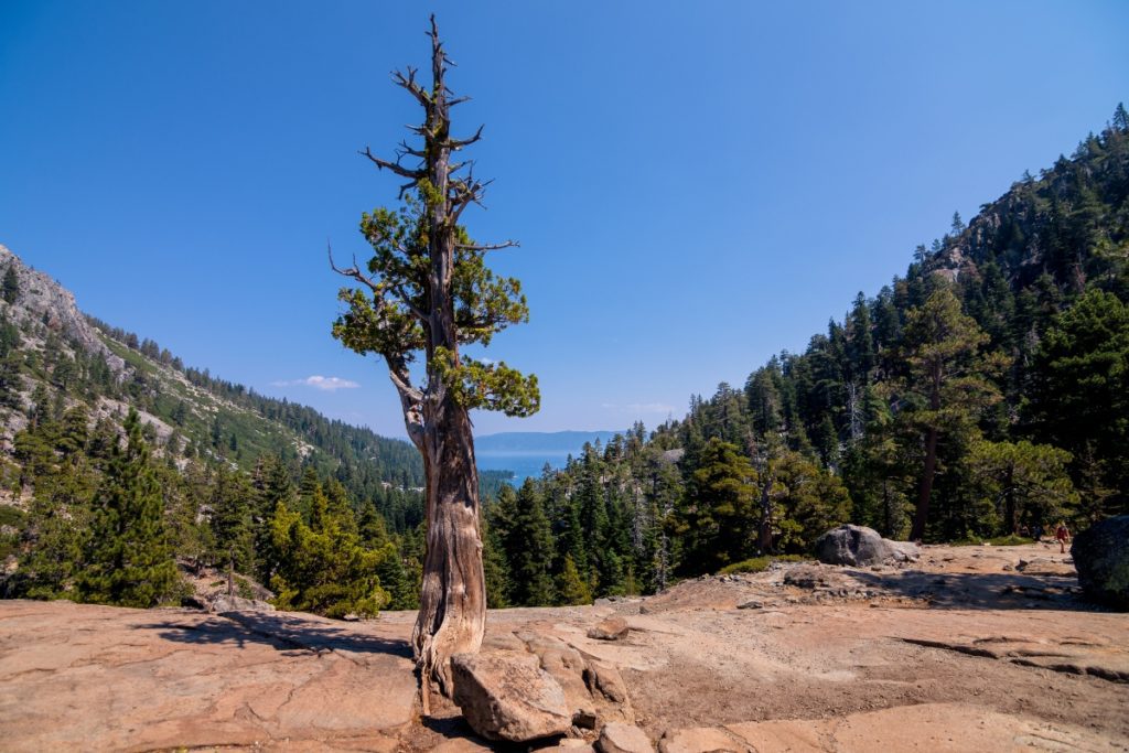 Lake Tahoe Hikes