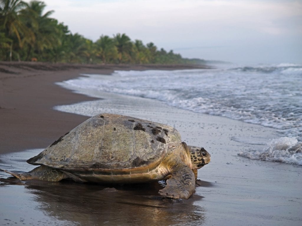 Where to Go in Costa Rica