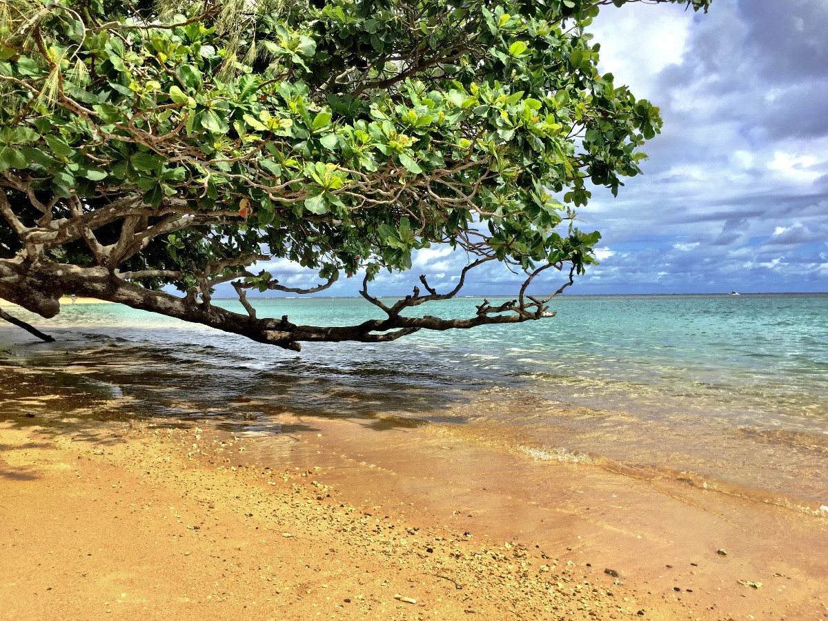 Kidding Around Kauai: Why the Garden Isle is a Family’s Dream