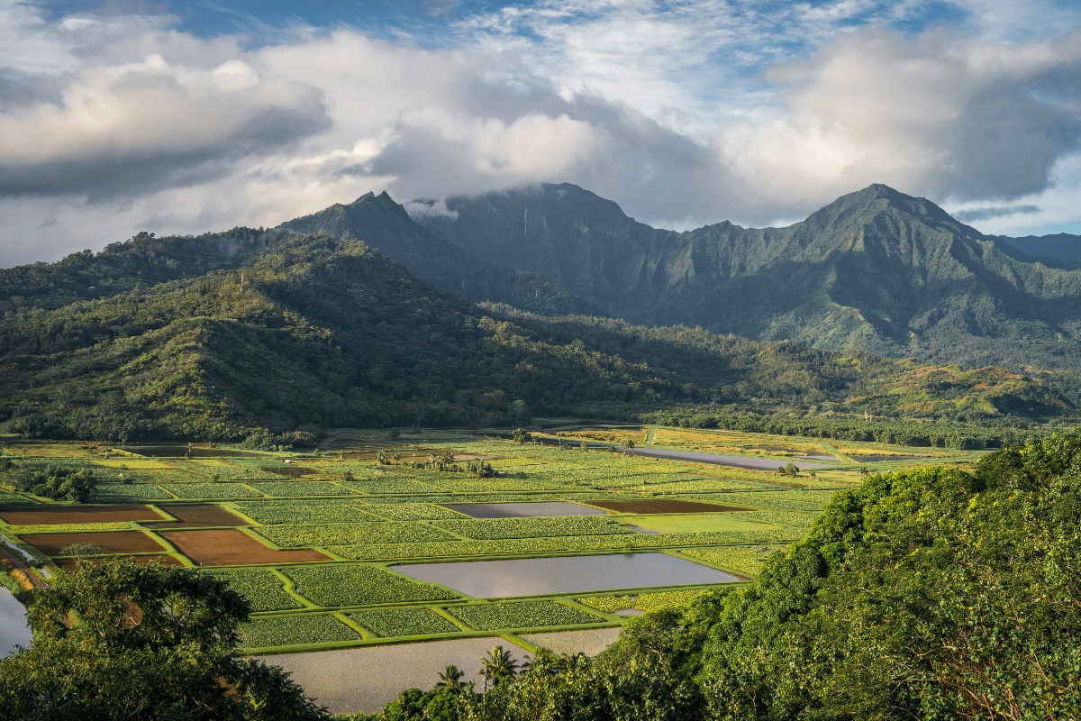Kidding Around Kauai: Why the Garden Isle is a Family’s Dream