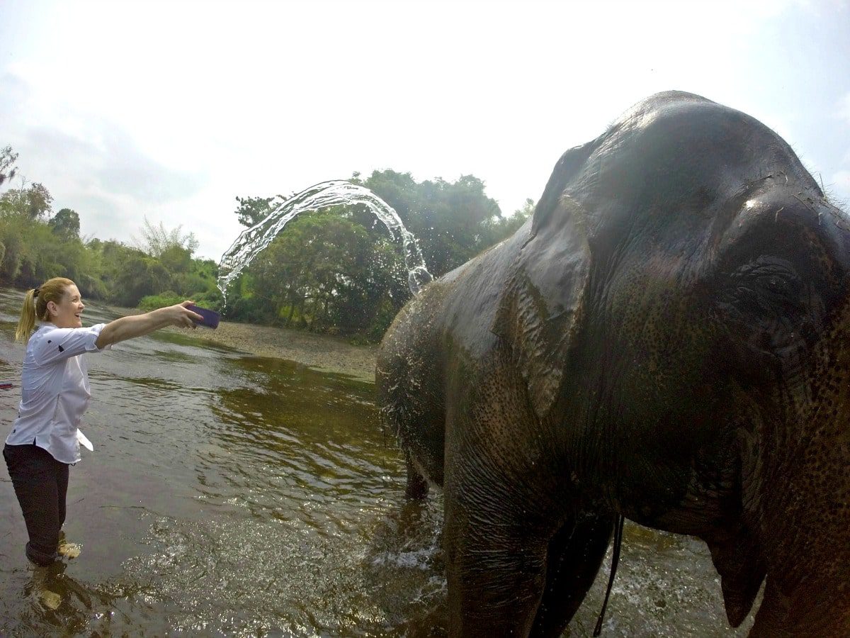 Bathing the Elephants in the river