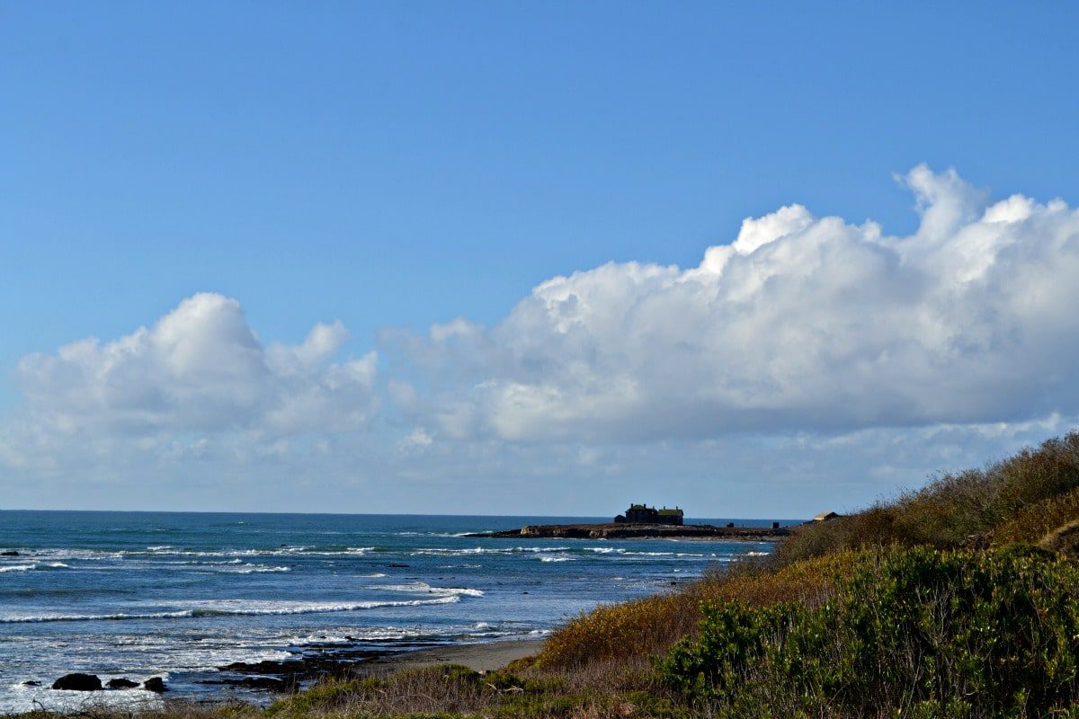 Searching for the elephant seals at Ano Nuevo State Park