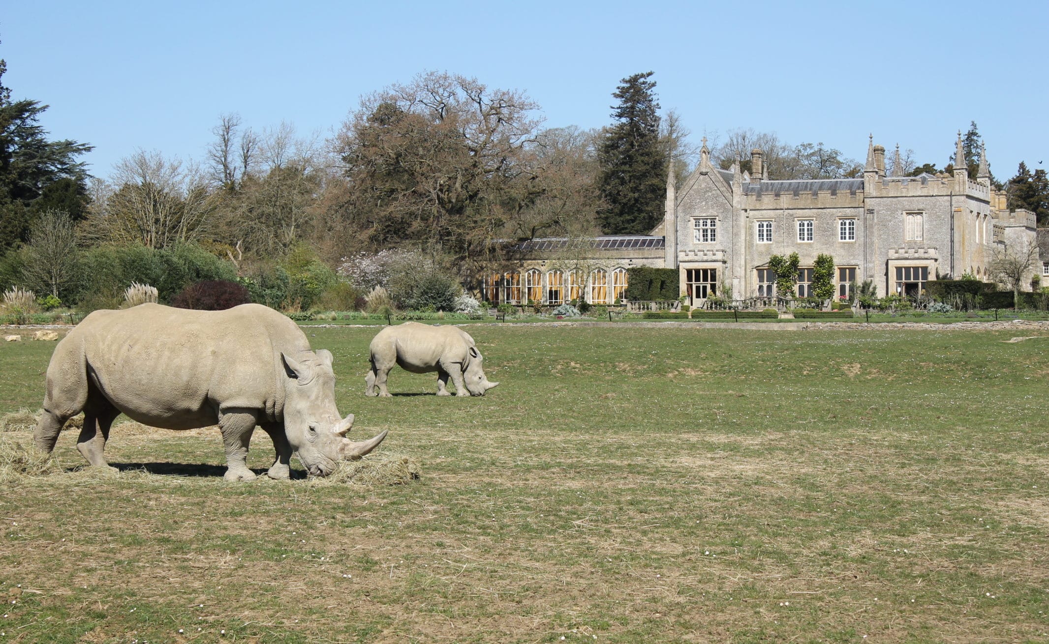The popular Cotswold Wildlife Park is only a 30 minutes drive from Ellenborough Park.