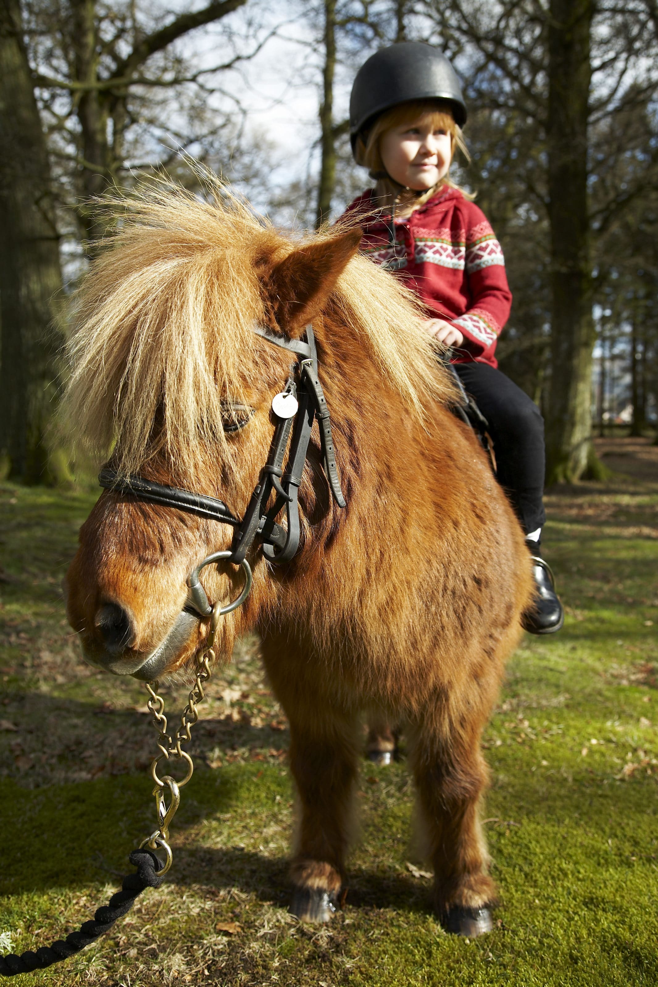 Kids can get their first taste of pony trekking at Gleneagles