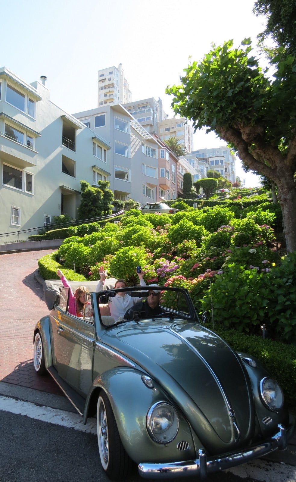 San Francisco Lombard Street Bugster