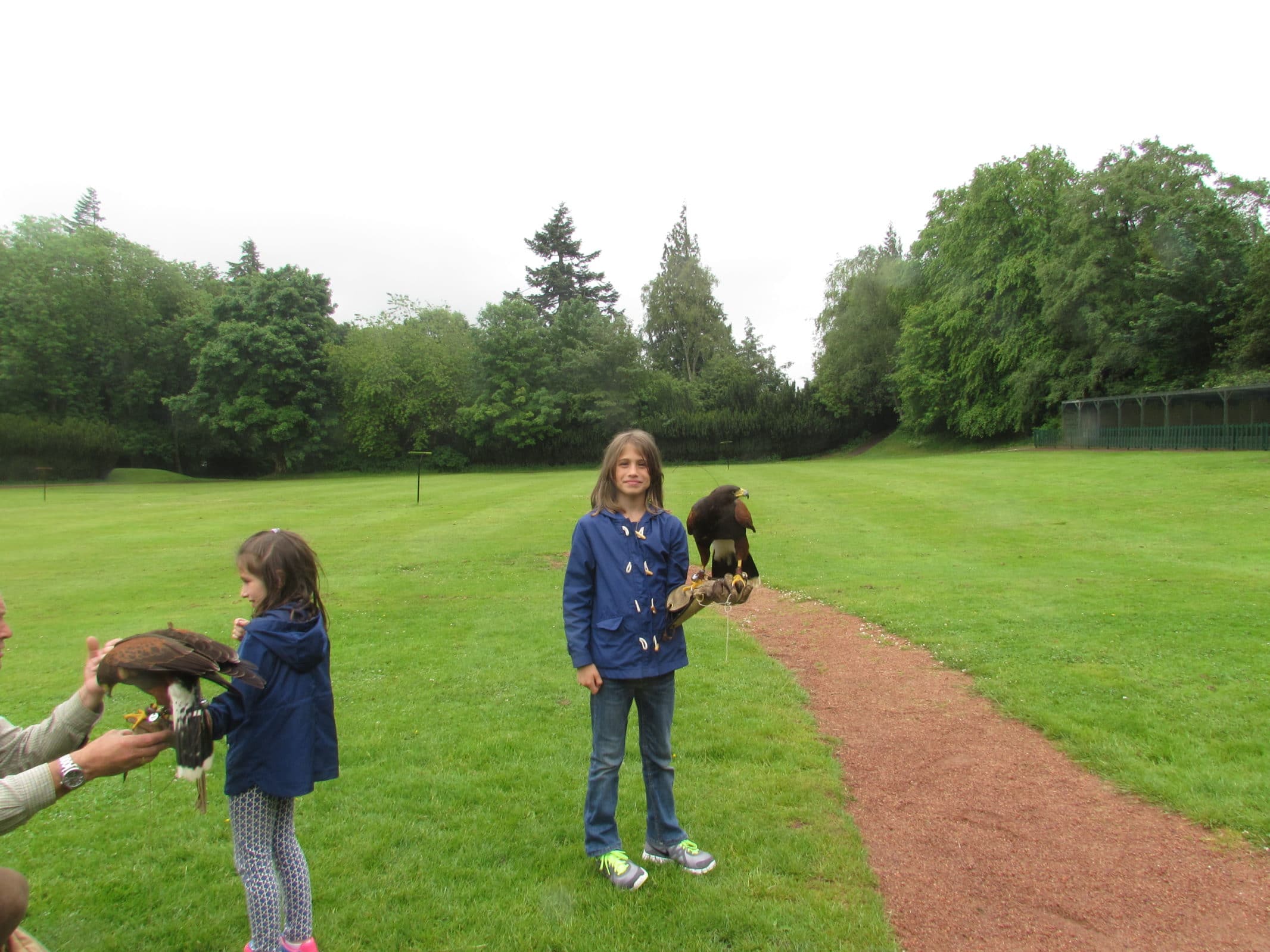 Learning to work with birds at Gleneagles' School of Falconry