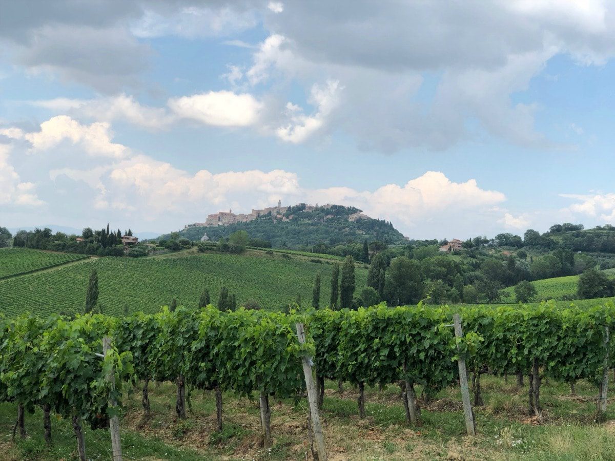 Pienza above vineyard