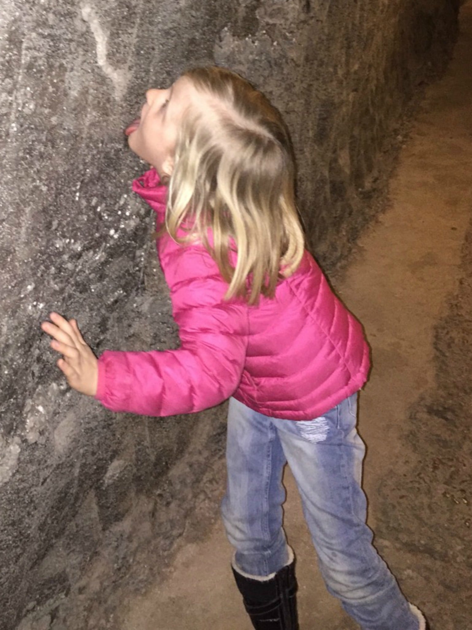 Licking the walls at the salt mine.