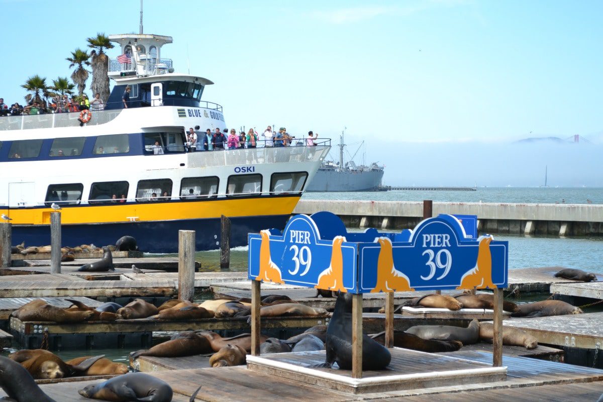 Blue & Gold Bay cruises pass by the sea lions at Pier 39