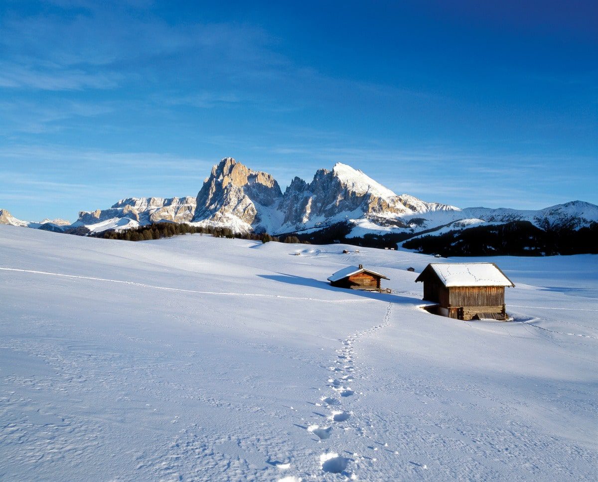 South-Tyrol-Alpe-di-Siuisi-Winter