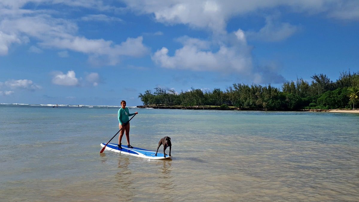 Stand Up Paddle with a dog on-board is a must-do activity