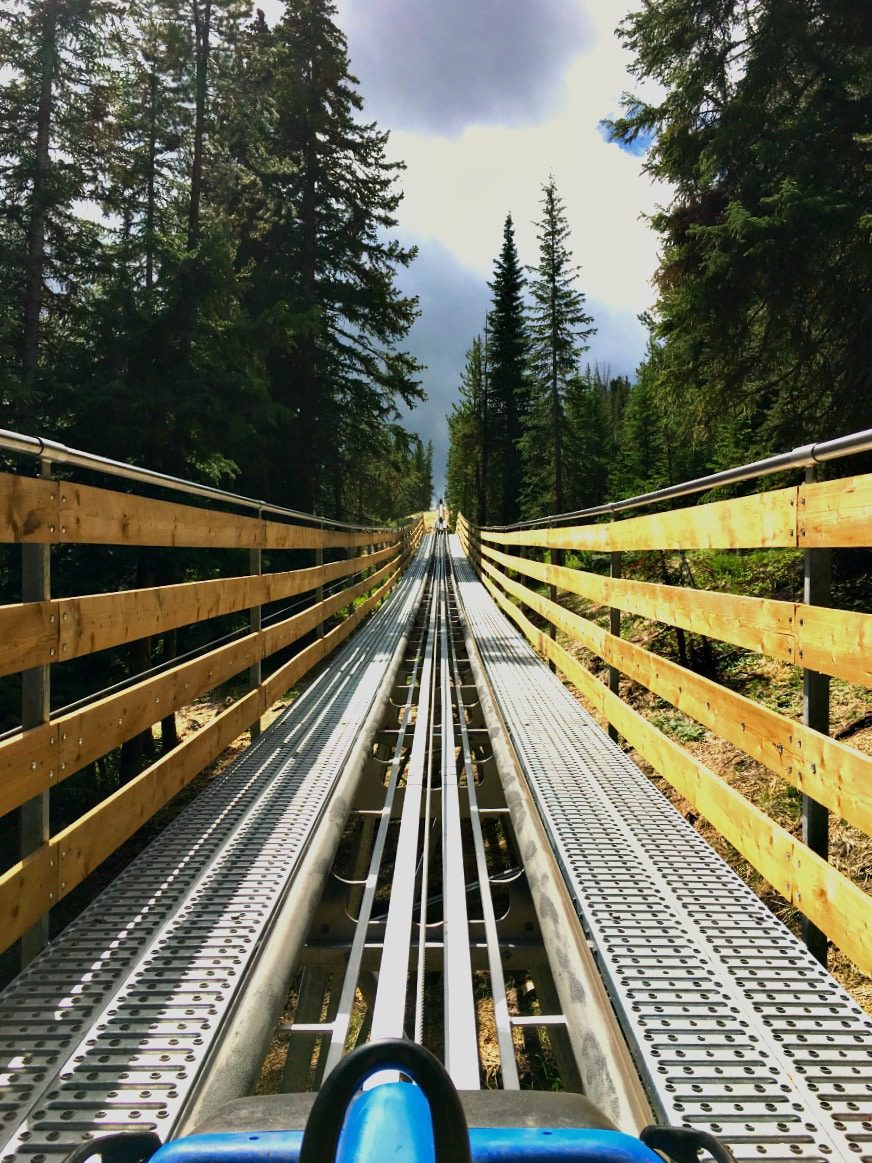 Kids of all ages love Vail's Forest Flyer alpine coaster.