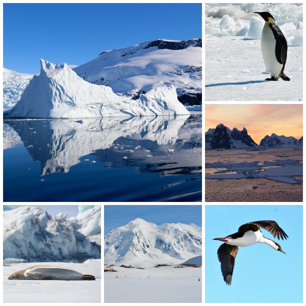 antarctica-scenery-collage
