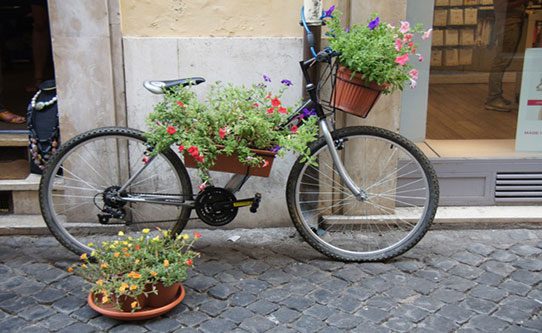 bike-with-flowers-rome