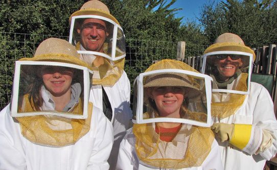 Carmel Valley Ranch Bee Experience