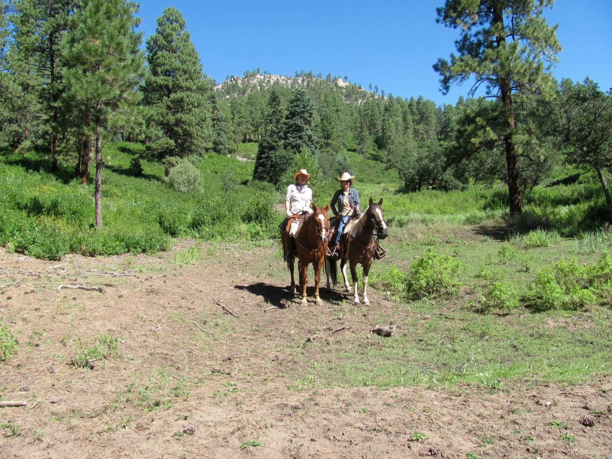 colorado-trails-trail-riding