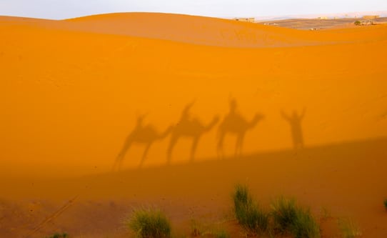 desert-shadows-in-sahara-desert-morocco